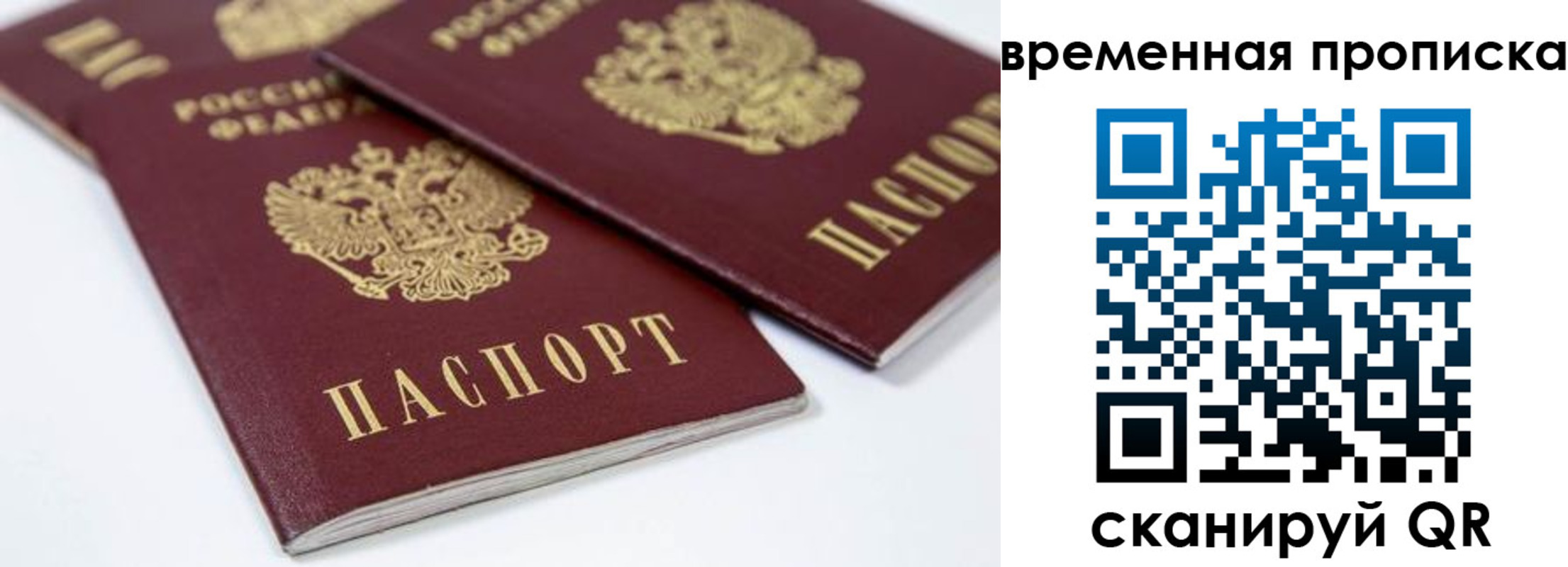 прописка для школы в Реже